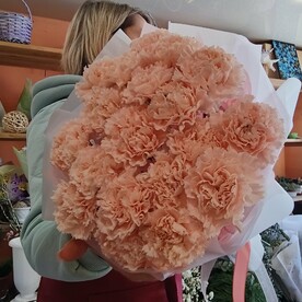 Кремовые диантусы 19шт