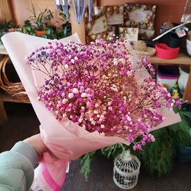Розовая гипсофила