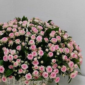 Корзина из 101 кустовой розы