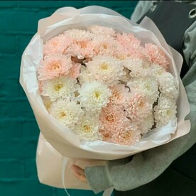 Букет из кустовых хризантем нежность (7 шт)