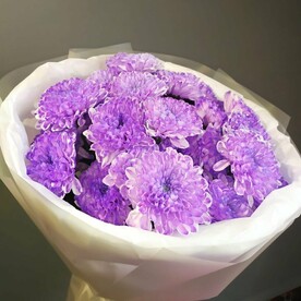 Букет из фиолетовых хризантем (5 шт)