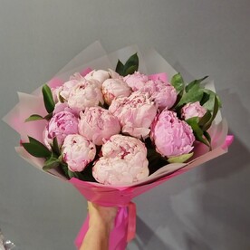 Пионы розовые (15 шт)