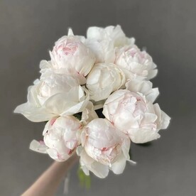 Букет из белых пионов (9 шт)