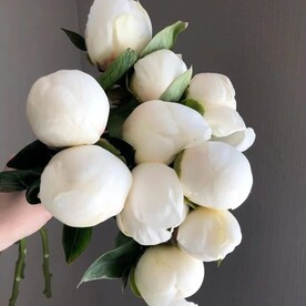 Букет из белых пионов (9 шт)