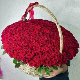 Гигантская корзина с 301 розы красной