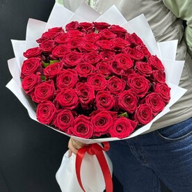 51 бордовая роза