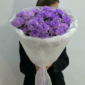 Хризантема кустовая, Дизайнерская упаковка, Подкормка для цветов, Открытка