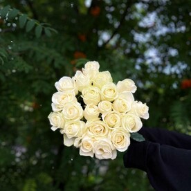 Очаровательный букет из 21 розы Аваланш 60см