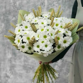 Хризантема кустовая, Колосья, Упаковка