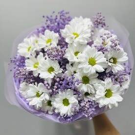 Хризантема кустовая с гипсофилой