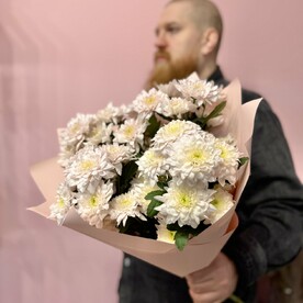 Хризантема кустовая
