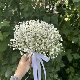 Букет из гипсофилы