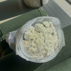 Белые диантусы (51 шт)