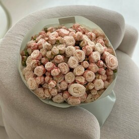 Роза пионовидная кустовая, Пленка корейская