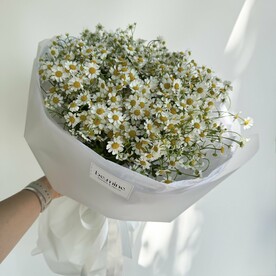 Ароматные летние ромашки 25 шт