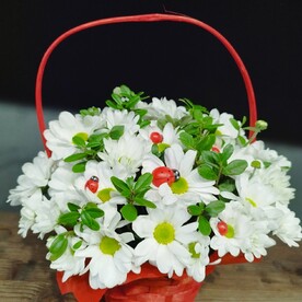 Корзинка с ромашками и божьими коровками