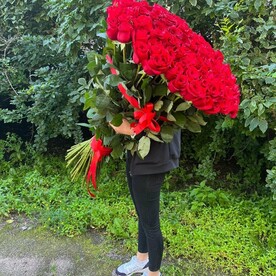 Розы