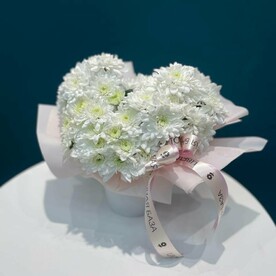 Хризантема кустовая, Шляпная коробка, Оазис