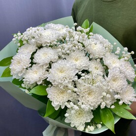 Хризантема кустовая, Гипсофила, Пленка матовая