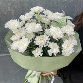 Букет хризантемы белые алтай с эвкалиптом