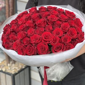 51 красная роза 🌹 Красные розы