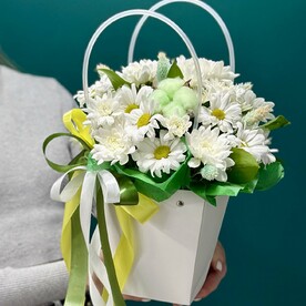 Летняя сумочка с ромашками