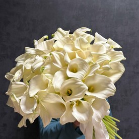 Калла белая, Аквабокс