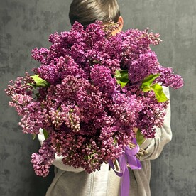 Сирень