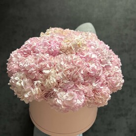 Гортензия, Шляпная коробка, Оазис
