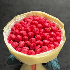 Коралловые пионы Отборные