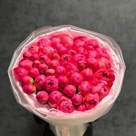 Букет из 51 коралловых пионов