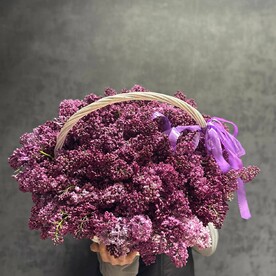 Корзина из 29 сирени