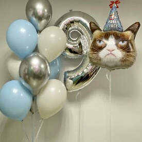 Воздушные шары Набор "Про кота" (12 единиц в наборе)