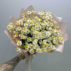 Танацетум, Упаковка, Подкормка для цветов