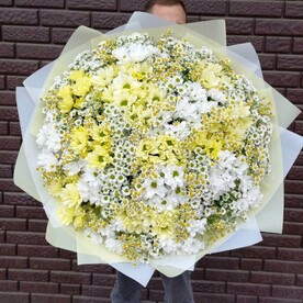 Хризантема кустовая, Танацетум, Хризантема сантини, Упаковка, Подкормка для цветов, Инструкция по уходуза цветами