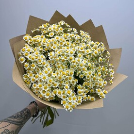 Танацетум, Упаковка, Подкормка для цветов, Аквабокс