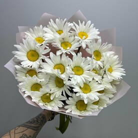 Ромашка, Упаковка, Аквабокс, Инструкция по уходу за букетом, Подкормка для цветов