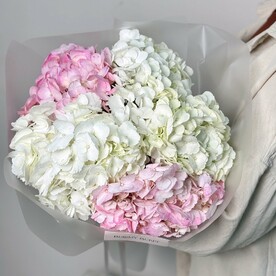 Букет из 5 гортензий