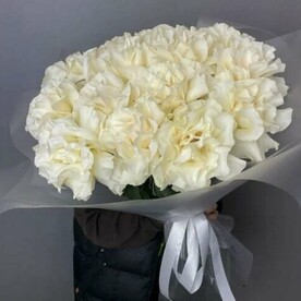 Роза Эквадор, Писташ, Открытка, Дизайнерская упаковка