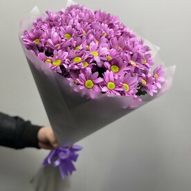 Хризантема кустовая, Дизайнерская упаковка