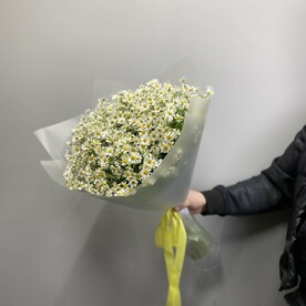 Танацетум, Дизайнерская упаковка