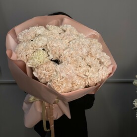 Кремовые диантусы 35 шт