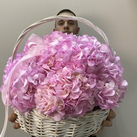 Большая корзина с розовыми гортензиями
