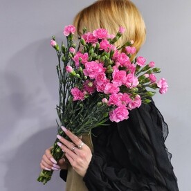 Гвоздика кустовая