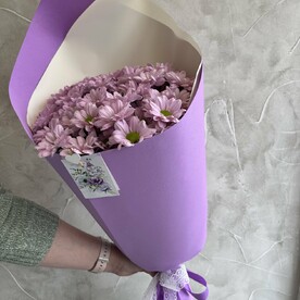 Хризантема кустовая, Дизайнерская упаковка, Открытка