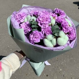 Диантус, Хлопок, Эвкалипт