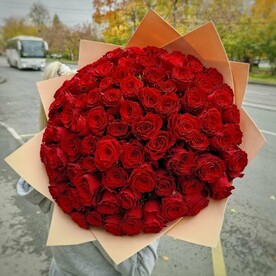 101 красная роза для любимой девушки, мамы, на день рождения 🔥ХИТ