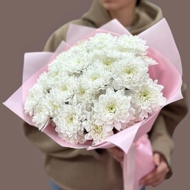 Пять белоснежных кустовых хризантем в букете.