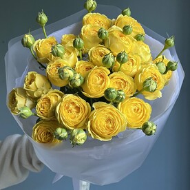 Желтые кустовые моно букет