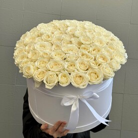 Роза аваланч, Оазис, Шляпная коробка